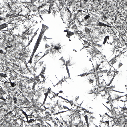 תמונה מיקרוסקופית המראה כיצד נראים פתיתי קשקשים